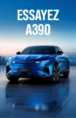 Tuiles Bodemerauto_A390.png